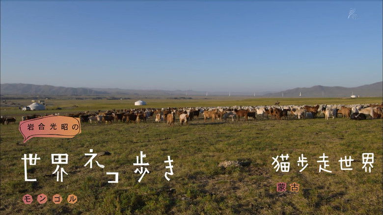 Still image for Mitsuaki Iwago's World “Cats” Travelogue season 1 episode 78: Mongolia Still image for Mitsuaki Iwago's World “Cats” Travelogue season 1 episode 78: Mongolia