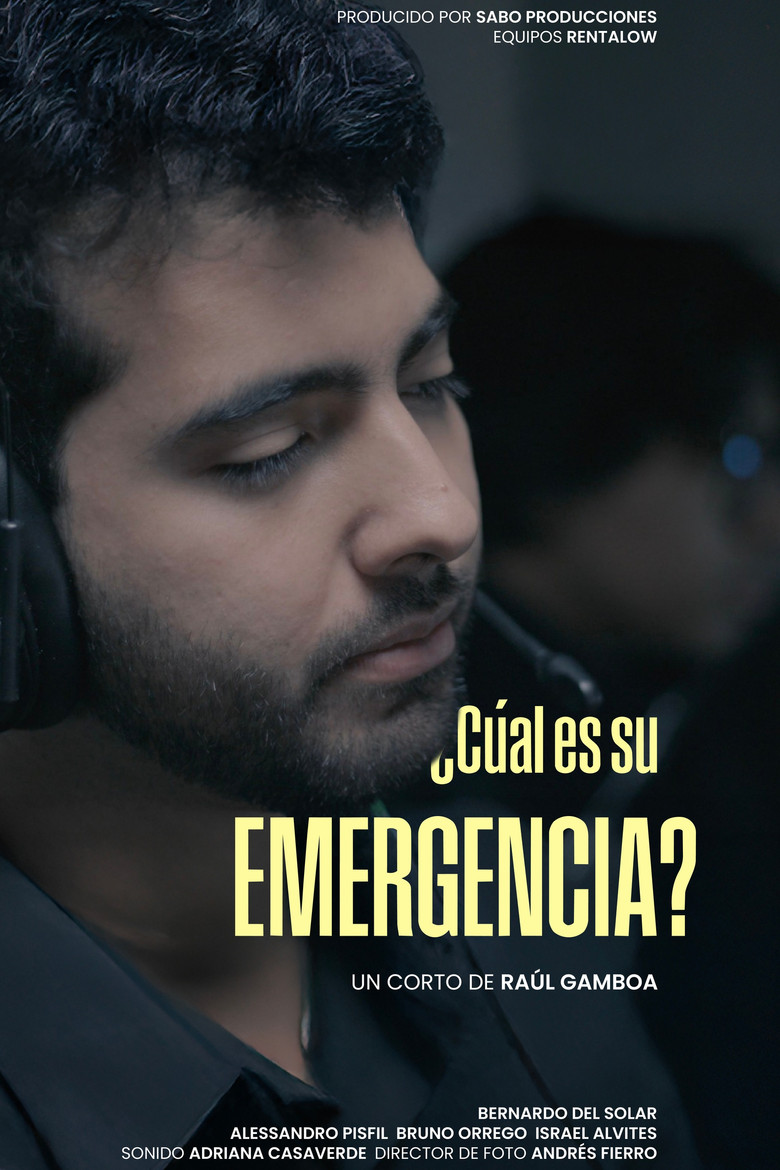 Imatge de ¿Cuál es su emergencia?