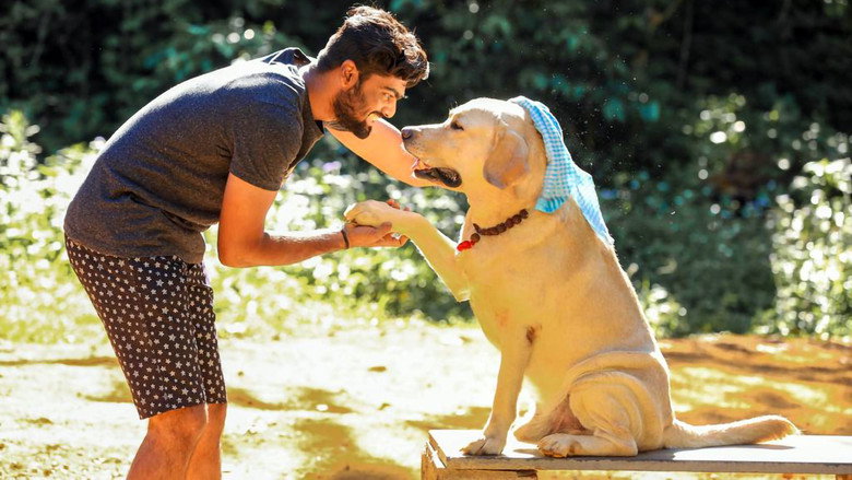 Медиа изображение