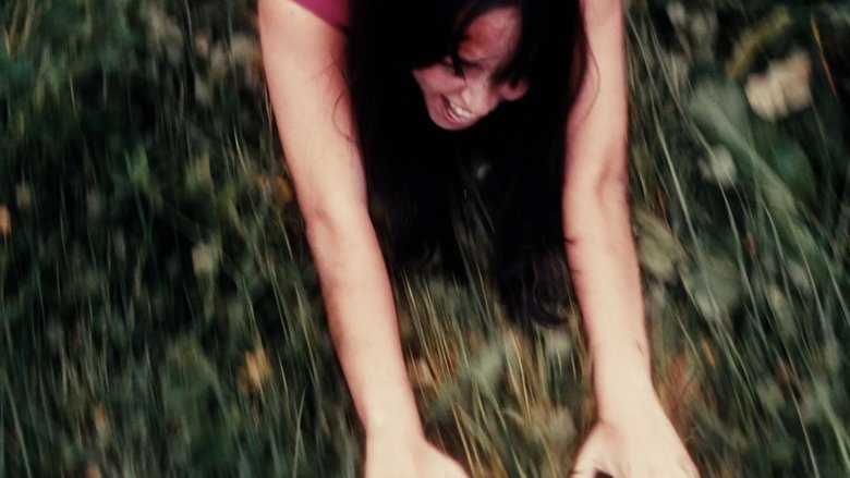 In Forest (2025)