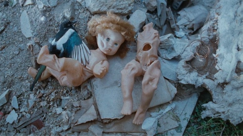 Gallery image from bQcd1eUnvExJEQJxAt4nO9dzdUj.jpg