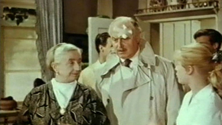 Hochzeit Auf Immenhof Stream