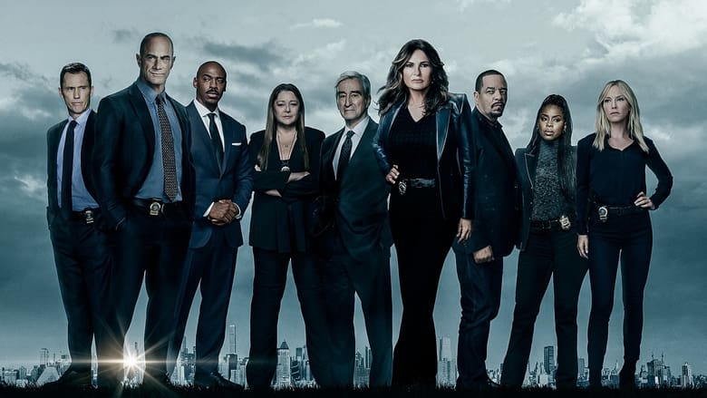 Law & Order: Special Victims Unit Season 15 Episode 9 : Rapist Anonymous