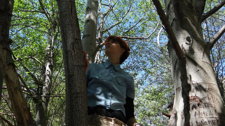 Imatge de Please Let Me Wonder