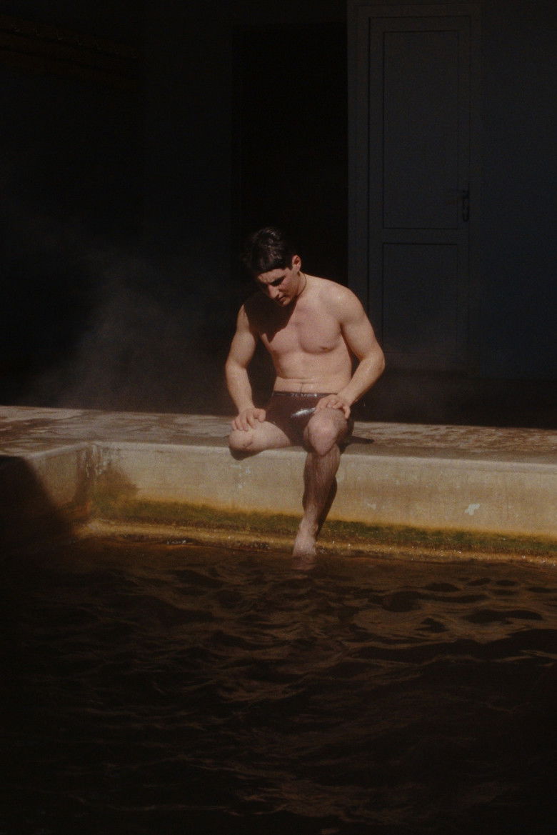 Imatge de Jardin noir