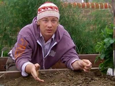 Still image for Jamie at Home season 1 episode 1: Tomatoes Still image for Jamie at Home season 1 episode 1: Tomatoes