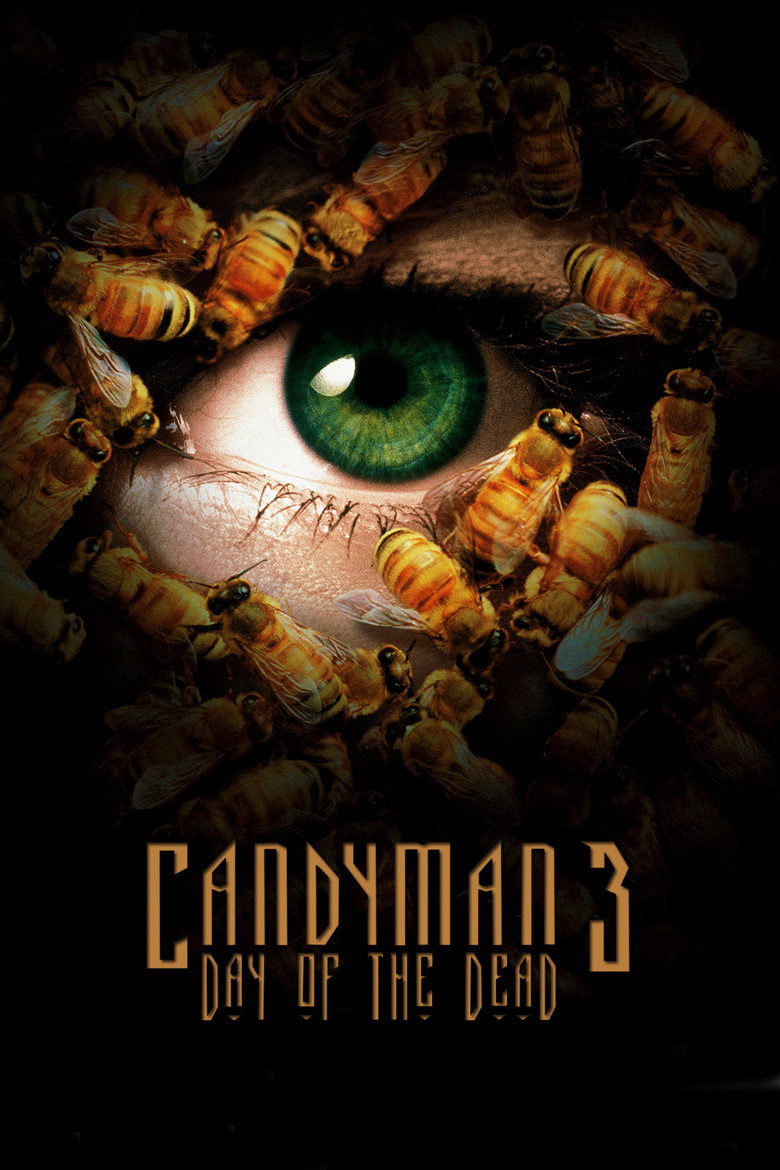 Póster la Película