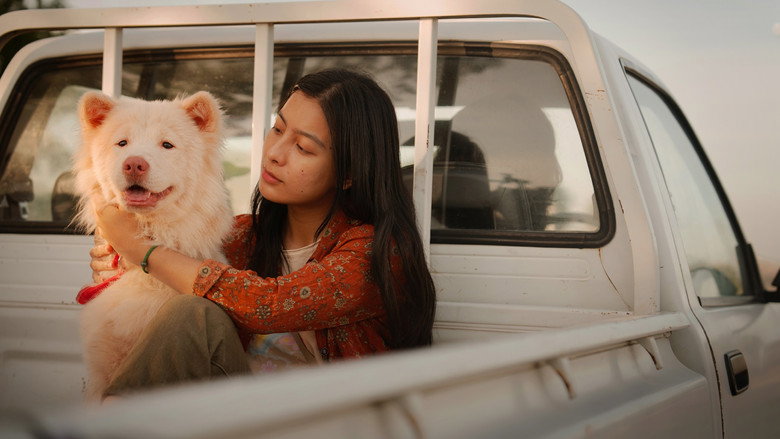 Image d'arrière-plan 11 du film โกฮัง..หัวใจโกโฮม