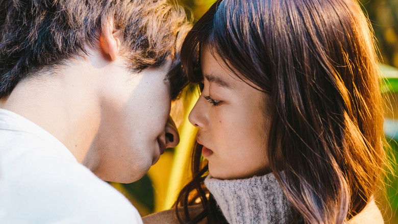 Still image for Hey Sensei, Don't you know? season 1 episode 3: Episode 3