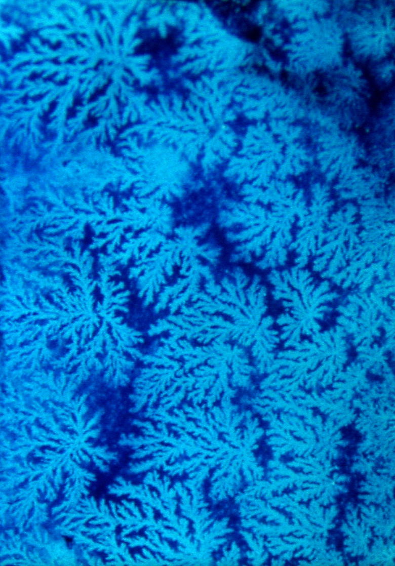 Imatge de He Walked Away