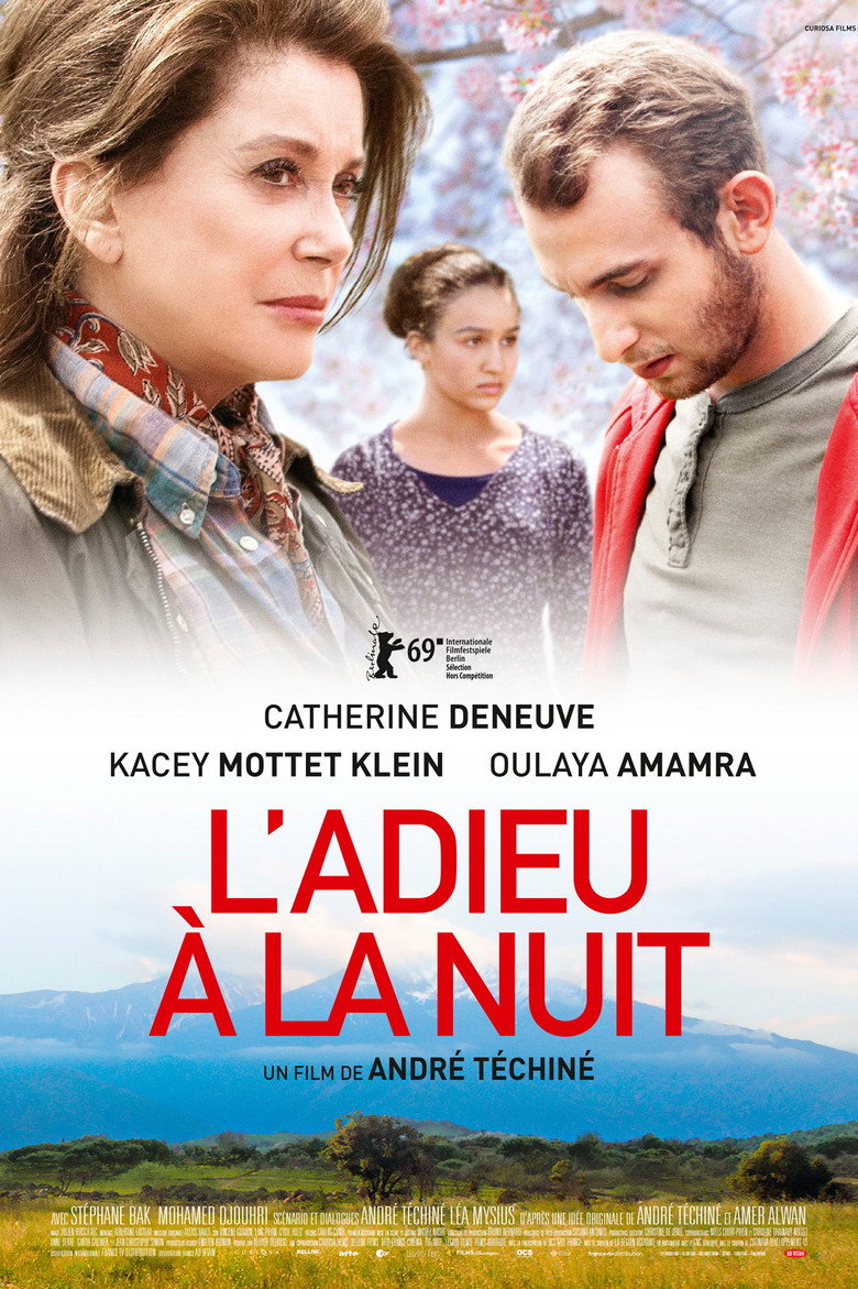 Affiche de L'ADIEU À LA NUIT