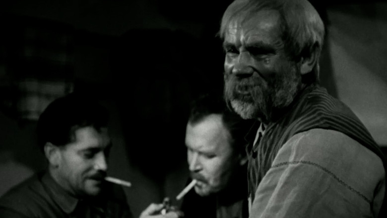 Gallery image from bUk1LcoVgWsWHkmquQT24MFmDJy.jpg