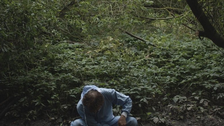 Gallery image from bV7cnDpxwN70F3yo7evrWES5xT0.jpg