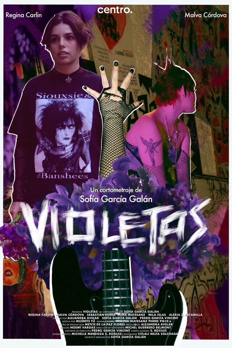 Violetas main poster
