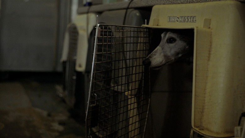 Going to the Dogs (2025)