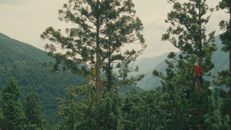 Image d'arrière-plan 10 du film Wood Job!