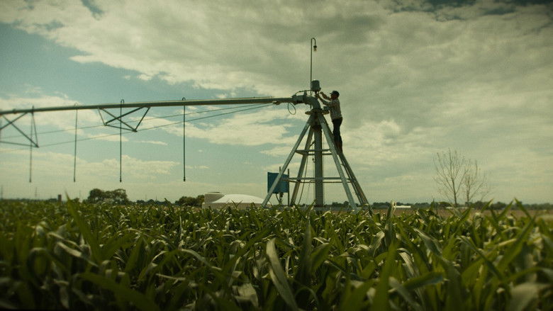 Gallery image from bWCDkwJS2bFWHLzFd1WqdTC2wyj.jpg