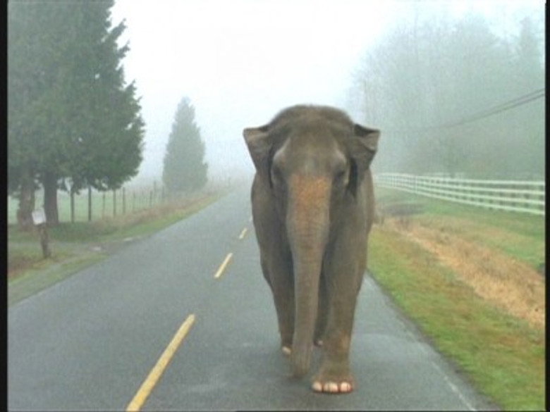 The X-Files S02E18 — Fearful Symmetry episode still