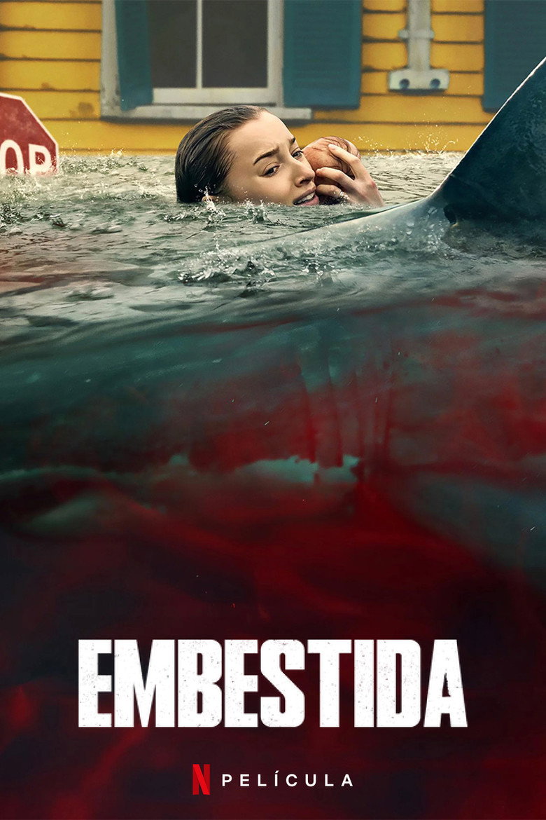 Póster la Película