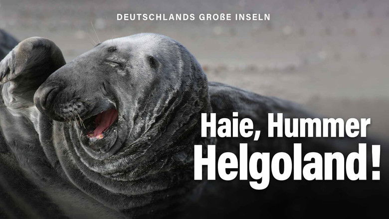 Still image for Expeditionen ins Tierreich: Deutschlands Große Inseln season 1 episode 1: Episode 1