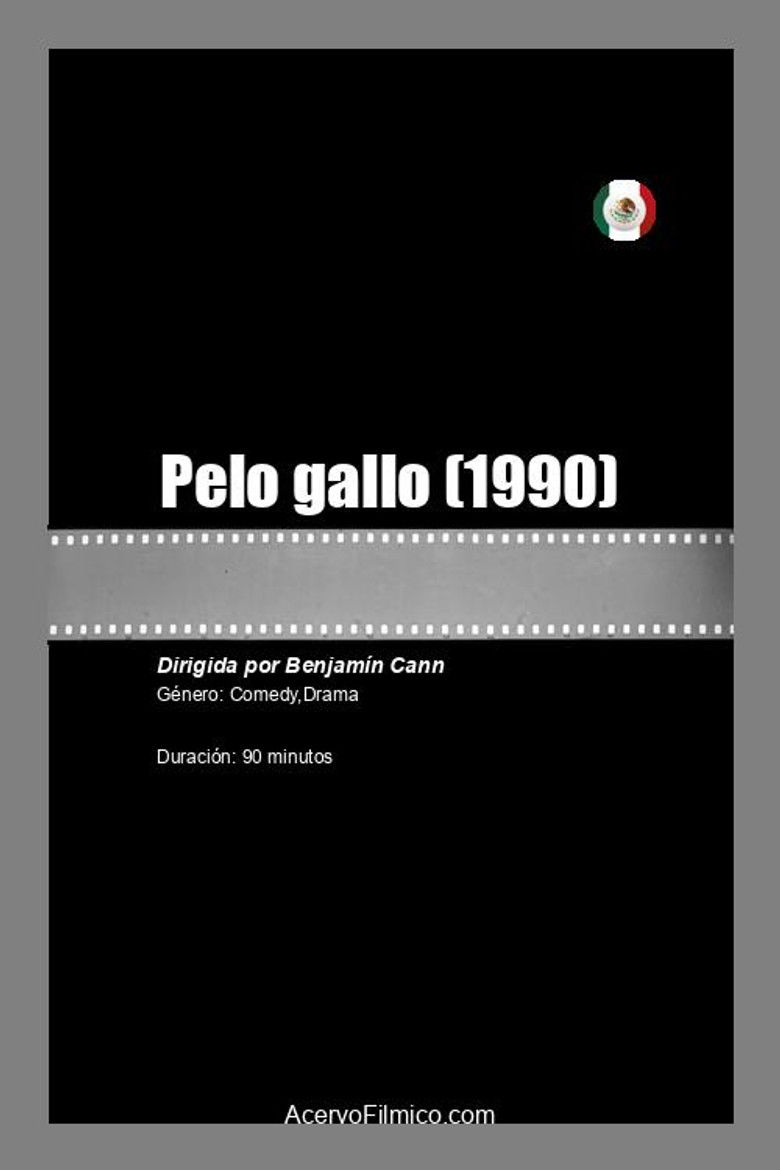 Imatge de Peló gallo