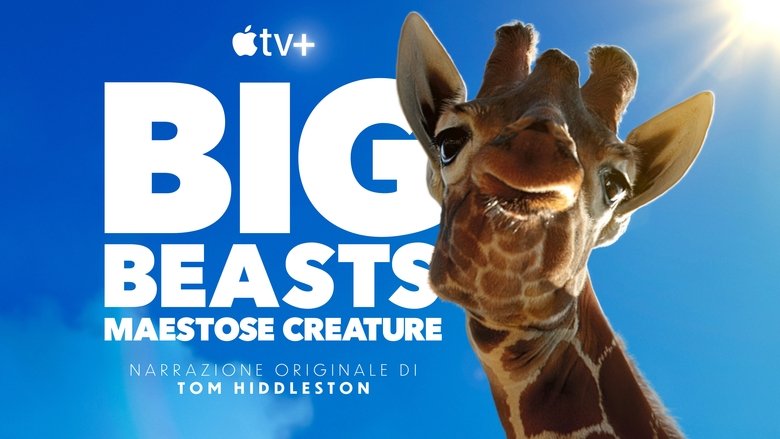 Gallery image from bXmjijZkmWj8C2XkqwwqK7vZnh1.jpg