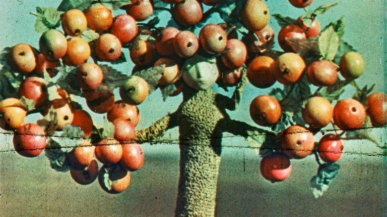 Gallery image from bY1pLl7BnBcFsjR5qJKJTgUgVMB.jpg