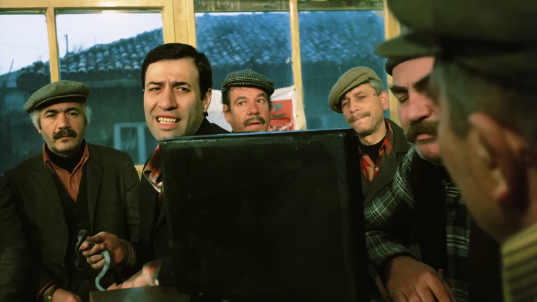 Üç Kağıtçı 10