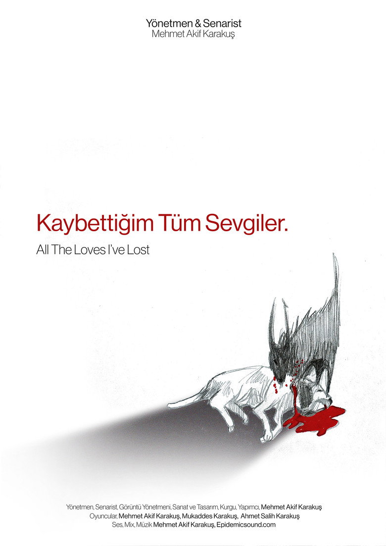 Imatge de Kaybettiğim Tüm Sevgiler
