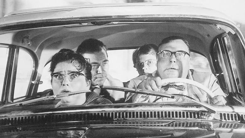 Gallery image from bZZRVnS8UeKFiWL9b1xbRG8ECa7.jpg