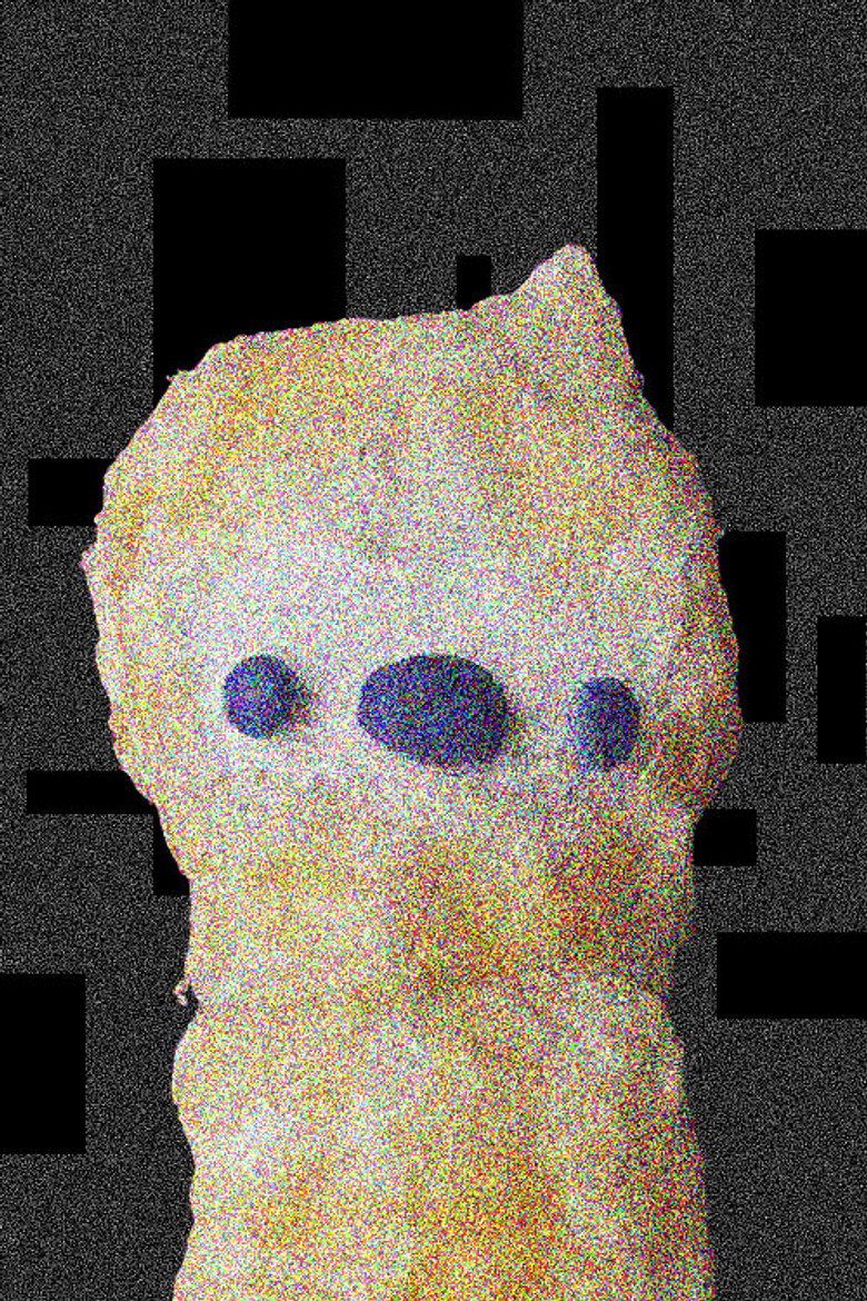 The Tranzformation poster