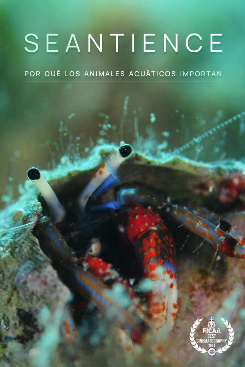 Imatge de Seantience