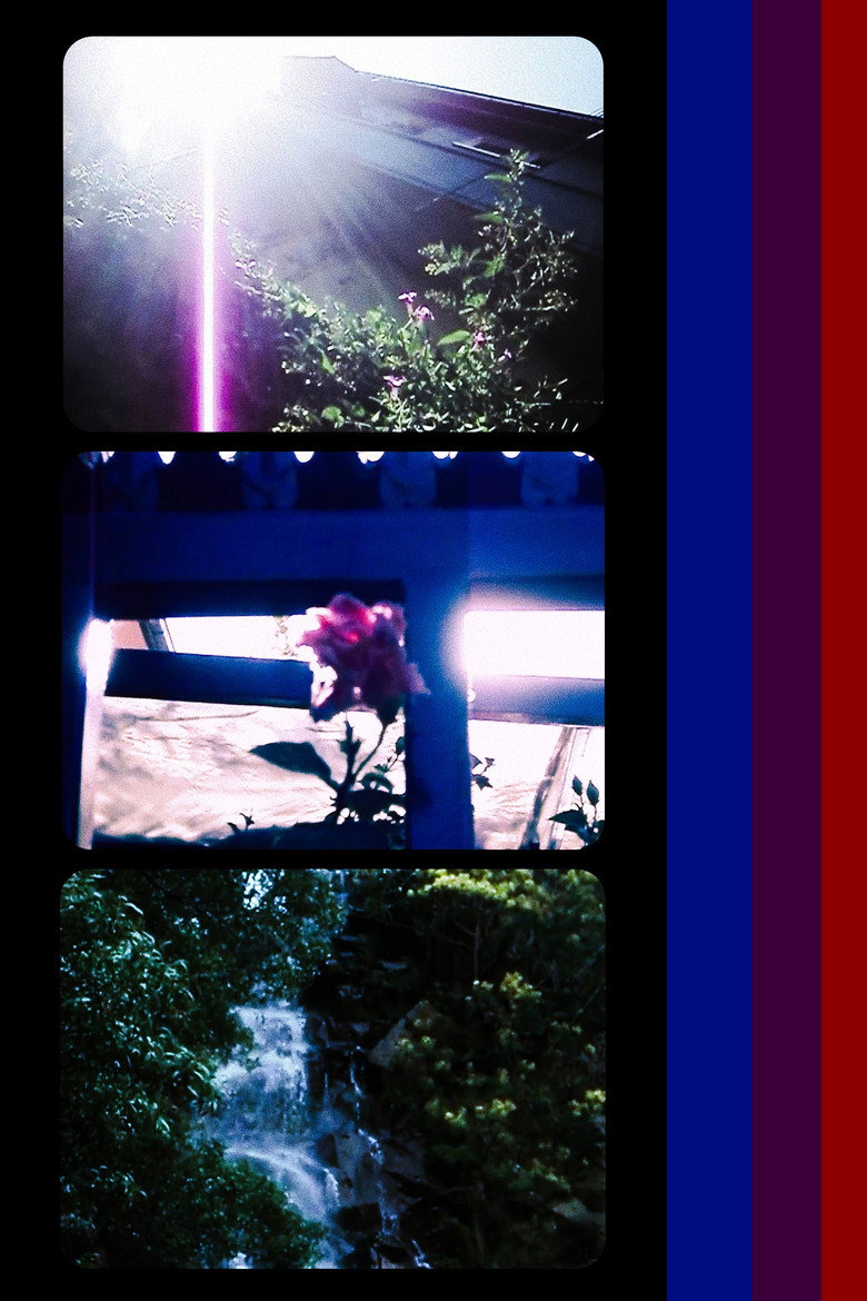 Imatge de Eco de la Memoria Perdida