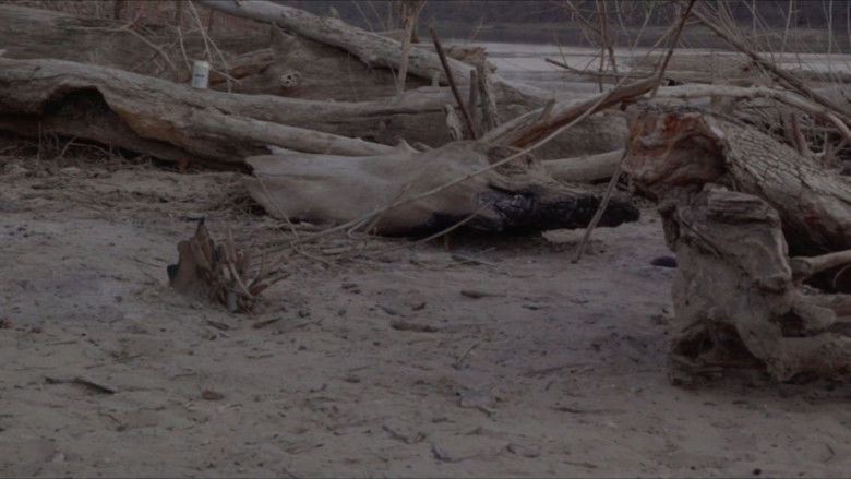 Gallery image from bbhZwYEw0f4VWtA8YHMl4nz02xu.jpg