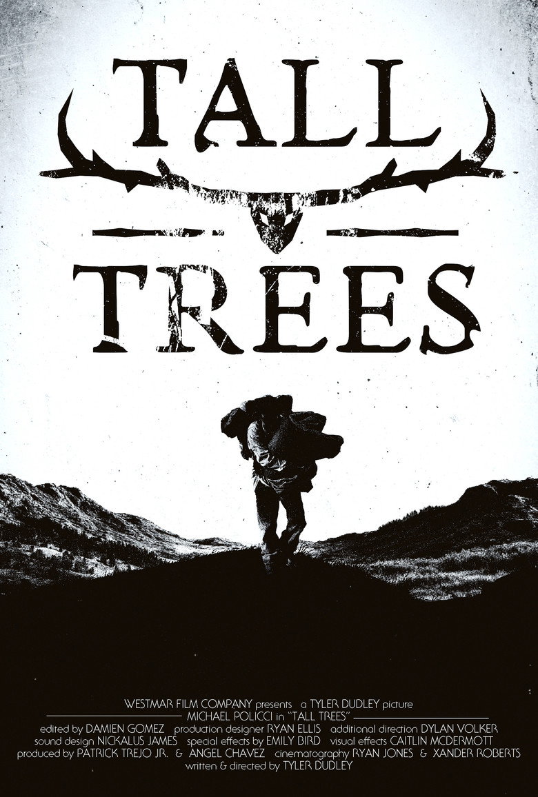 Imatge de Tall Trees