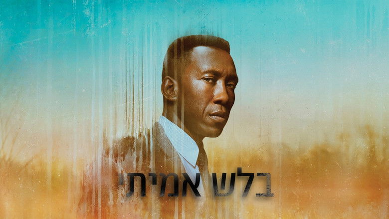 Gallery image from bbwQZMWQLEndCGGCKfIc5c6ymBx.jpg