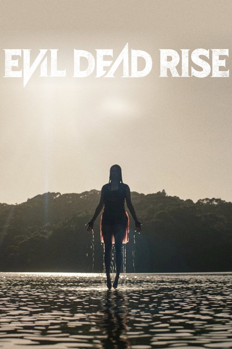 Póster la Película