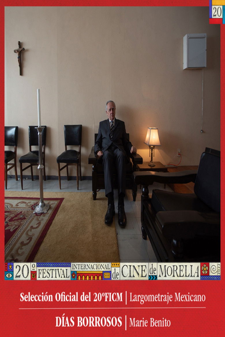 Imatge de Días borrosos