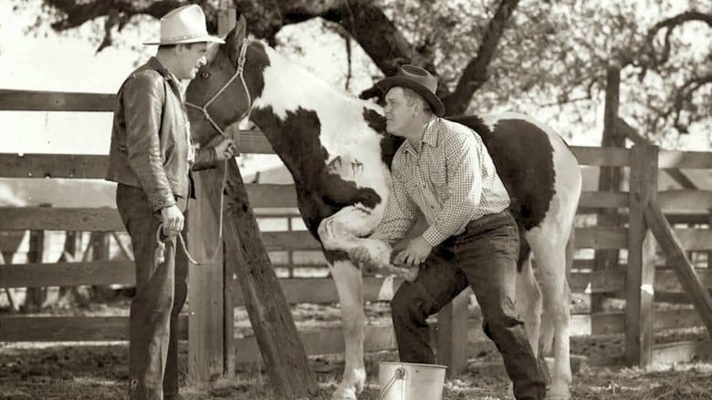 King of the Wild Horses movie poster