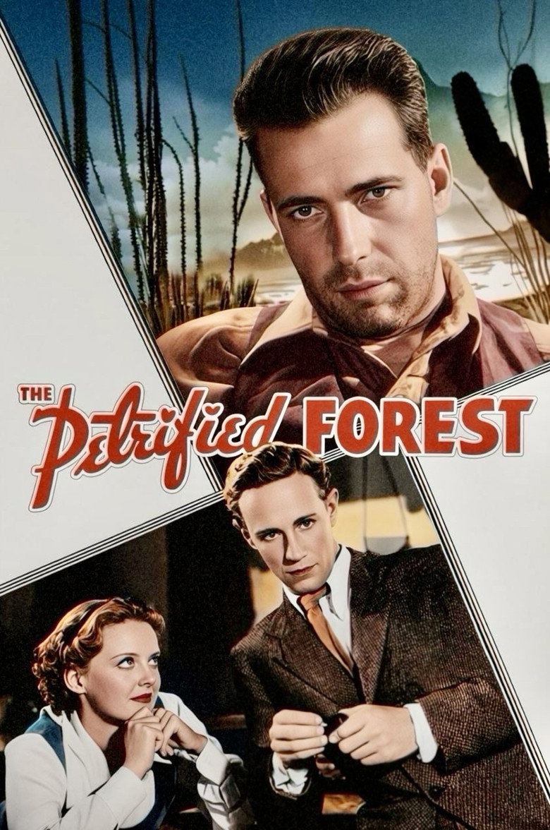 Imatge de The Petrified Forest