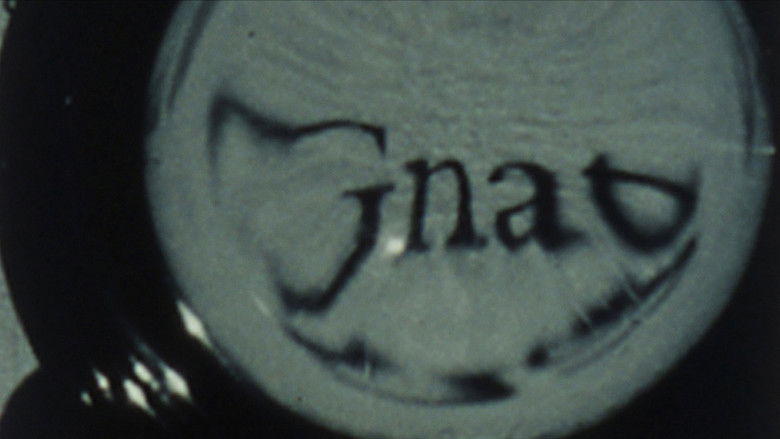 Gallery image from bcmpMCrKa1QvnmLKBMPjAT33zwS.jpg