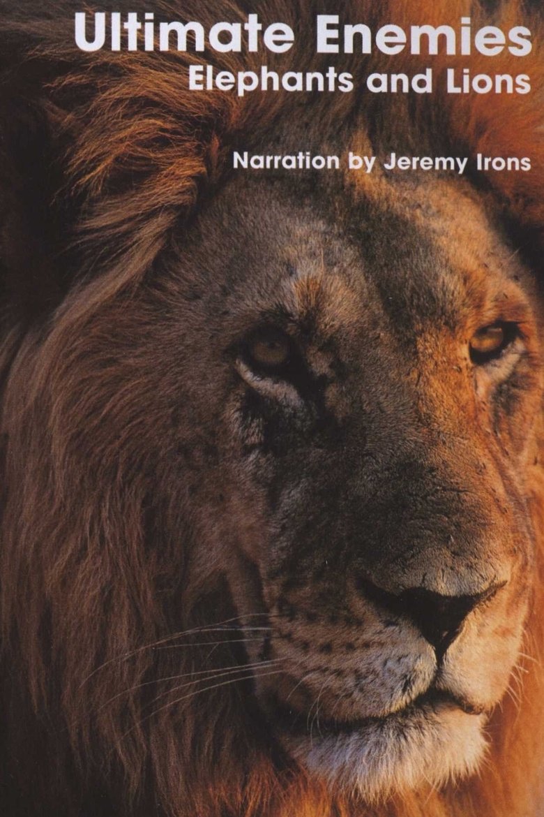 Ultimate Enemies: Elephants and Lions main poster