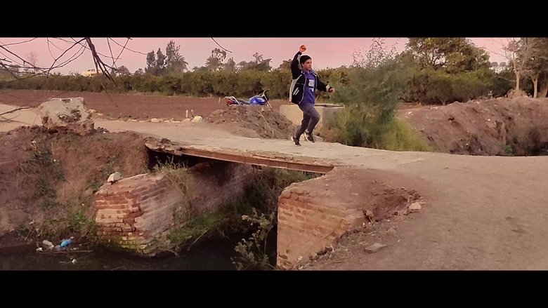 Oranges and watermelons (2022)