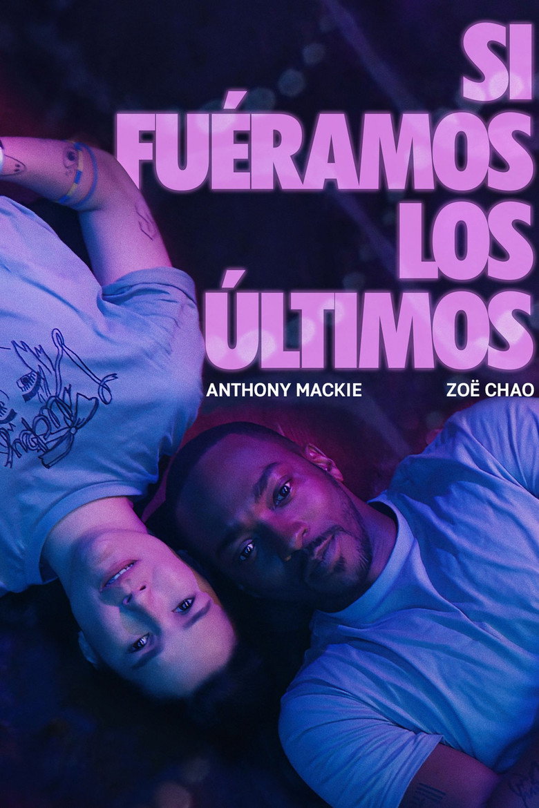 Póster la Película