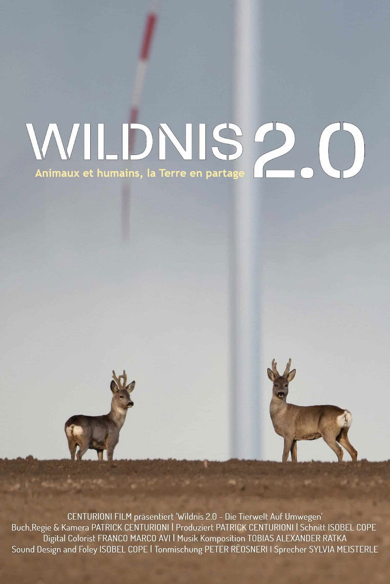 Wildnis 2.0 - Die Tierwelt auf Umwegen
