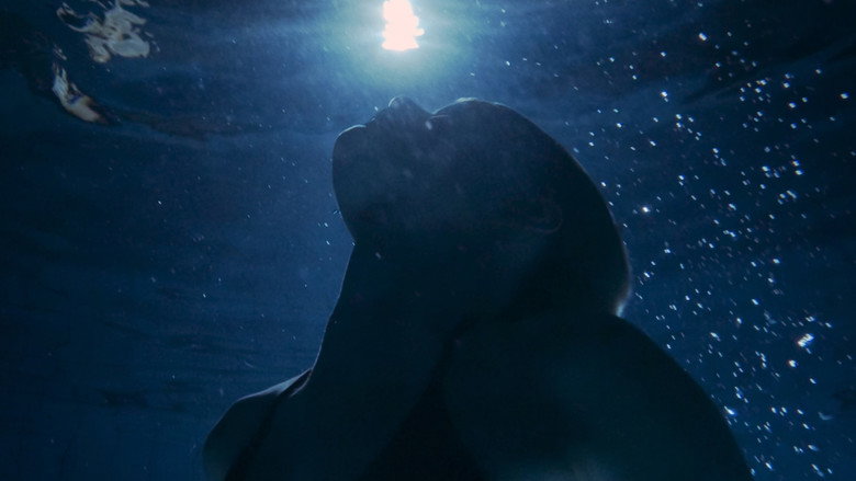 Imatge de Geen groen licht