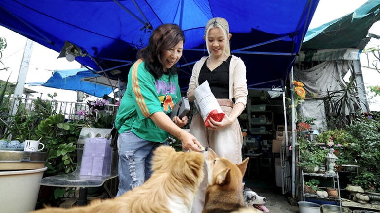 Still image for 不一樣的爸媽 season 1 episode 4: Episode 4