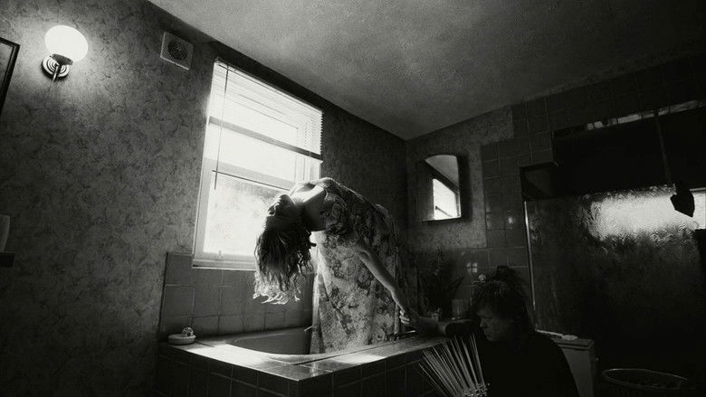 Bftfgirfxpmwb417txf7onoakn4