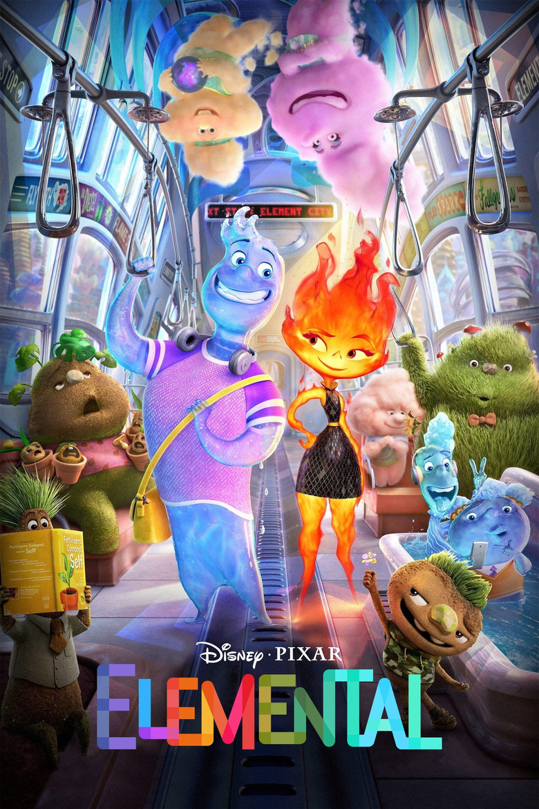 Póster la Película
