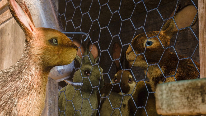 Still from Watership Down - Season 1 Episode 1